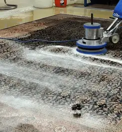 Professional rug cleaning with a rotary floor machine and shampoo foam, deep-cleaning an area rug Stockton, CA.